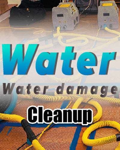 Heaven's Best Water Damage Cleanup & Restoration Services